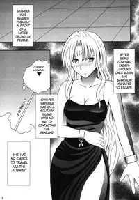 [Crimson Comics] Sephiria Hard 3 (Black Cat) [ENG]