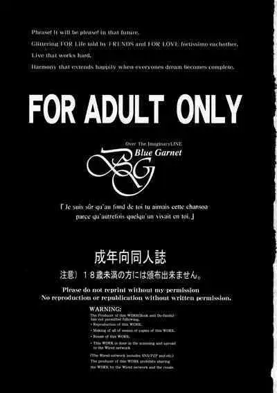 (C101) [BLUE GARNET (Serizawa Katsumi)] Sono Hoshi wa Kegasarete 2 (Bishoujo Senshi Sailor Moon)