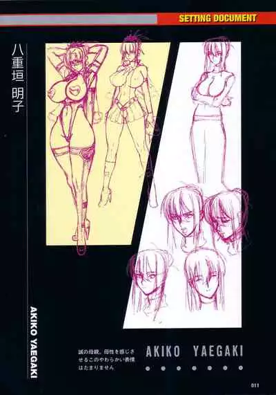 Thunder Claps! Visual Fan Book + Trading Card Art