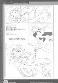 [Deisui Oukoku] Woitsume ~Ryoujoku No Utage~ Settei & Mangashuu