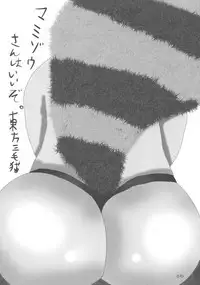 (Reitaisai 15) [Hermit9 (Various)] Touhou Oniku Goudou San (Touhou Project)