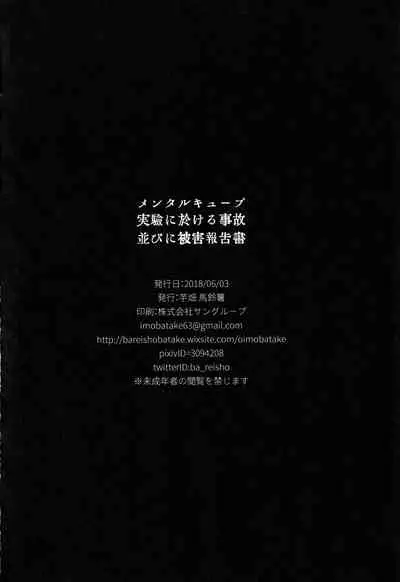 Mental Cube Jikken ni Okeru Jiko Narabi ni Higai Houkokusho