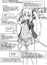 (C87) [Lovely Pretty Chou Aishiteru (Maboku)] Elsie Isteari Seishoku Kiroku