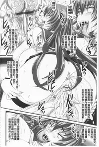 [Nozarashi Satoru] Do S na Hime wa Kegasareru -Ouhou no Shou- | 超S的公主被玷汙了 ～報應之章～ [Chinese]