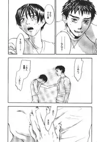 [Yonekura Kengo] ever green