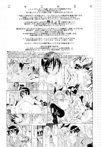 (C89) [Project Harakiri (Kaishaku)] Nisenisekoi 7 (Nisekoi) [English] [desudesu]