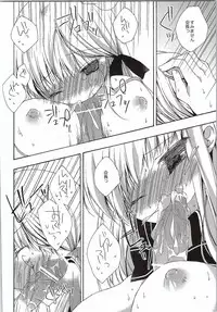 (SC53) [Aiirojikan (Kaga Akuru)] In majestic gray (Rewrite)