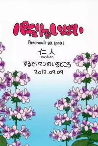 (Aka no Hiroba 8) [Surudoiman no Irutokoro (Norihito)] Patchouli ga Ippai (Touhou Project)