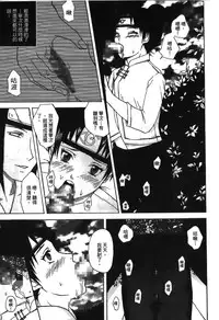 [Kishimoto Saisi] naruto ninja biography vol.05 (naruto) [chinese]