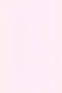 (C89) [Akatama (Sakurafubuki Nel)] focus