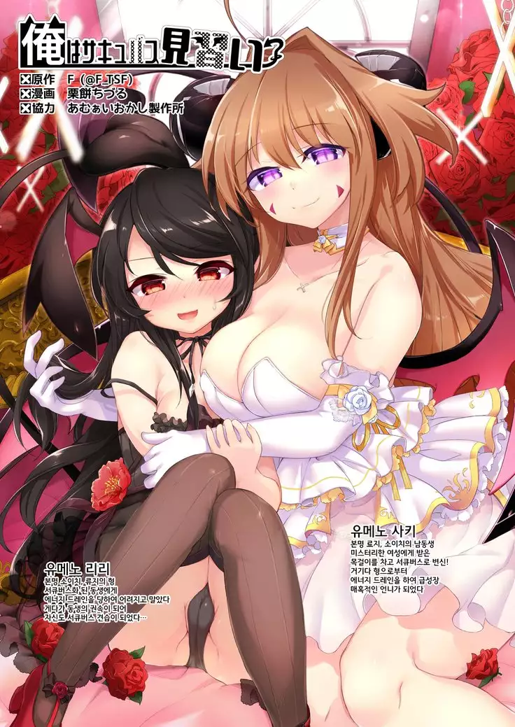 Ore wa Succubus minarai? Kouhen / 나는 서큐버스 견습?