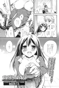 COMIC Jun-ai Kajitsu 2011-01