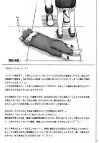 1004N+ Cyclone no Soushuuhen (English)