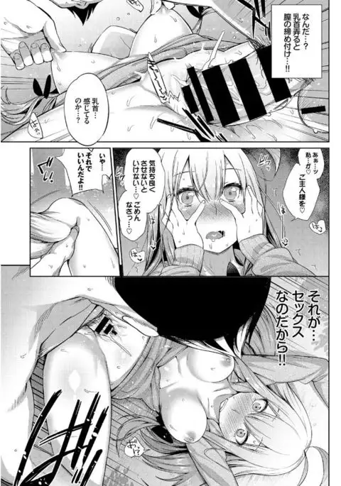 Jingai Musume-tachi no Sei Jijou