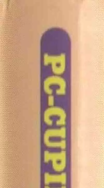 Official Alicesoft Full Completion Guide (PC-CUPID)