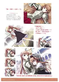 Walkure Romanze Visual Fan Book