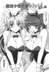 Tsukareta Anata o Iyashite Kureru Lyrical Mahou Shoujo Soushuuhen +α