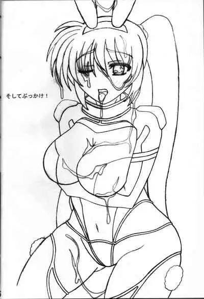 [Nantoka no Neko Hako (Neko Hako)] CosplayerS (Mahou Shoujo Lyrical Nanoha)