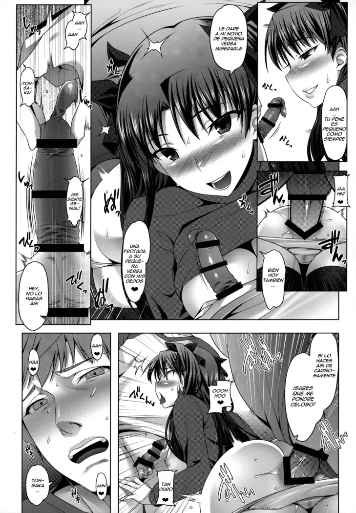 Emiya-ke Futei Koukou Ryouiki ~Tosaka Rin no Baai~