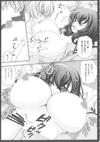(COMIC1☆4) [Arcana Club (Arcana)] Oyatsu Kankaku de (Seikon No Qwaser)