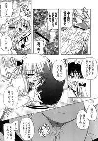 [Akazawa RED] Kupa Resort