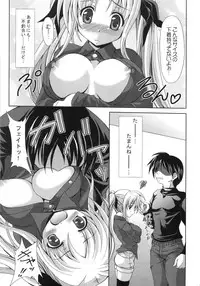 (C79) [FASTEST LAP (MIO)] Ookiku nattemo Fate ga suki desu ka? Lost Property 9 (Mahou Shoujo Lyrical Nanoha)