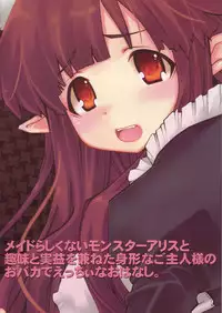 (C70) [Seinansei ni Kagayakeru Hoshi (Morino Papiko)] Ragnarok Yawa Level.8 (Ragnarok Online)