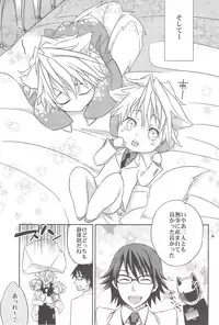 (C81) [Crazy9 (Ichitaka)] Ofuro de! Wanko Tomushizu no Hon (Durarara!!)