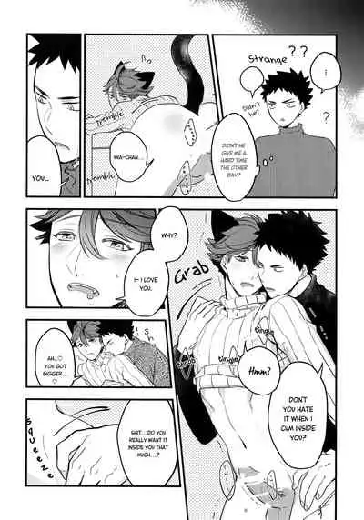 Iwa-chan no Neko ni Naritai 2