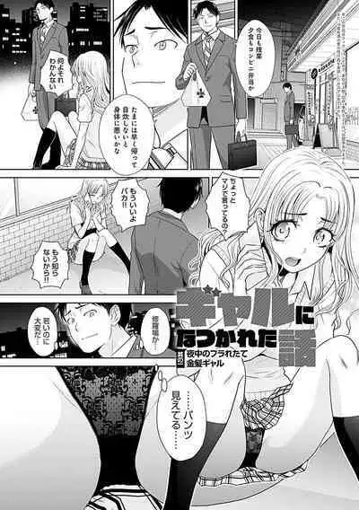 Gal ni Natsukareta Hanashi - A Story about Someone Who has Become Attached to A Gal