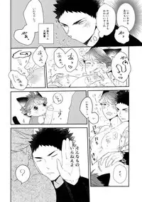 (RTS!!13) [Rototika (Kamishi Yue)] Iwachan no Neko ni Naritai 6 (Haikyuu!!)