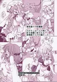 (C95) [Yosutebito na Mangakaki (Tomoki Tomonori)] Nureru Koumakan (Touhou Project)