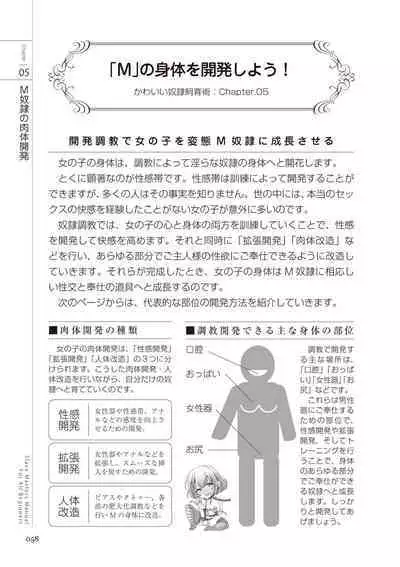 Zero kara Hajimeru SM Manual Kawaii Dorei Shiikujutsu