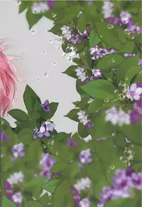 (SUPER23) [Akoyagai to Aumale Ebi (Ooki Bonta)] Mizunure Chuui! | Be Careful Not To Get Wet! (Haikyuu!!) [English] [HQ!! Scans]