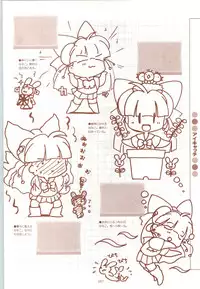 [Fujioka Tamae] RISE Capture & Materials