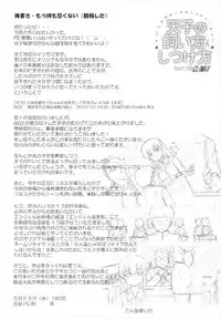 (Reitaisai 9) [Newtype Kenkyuujo (Kotowari)] Tenshi no Kaikata Shitsukekata CLIMAX (Touhou Project)