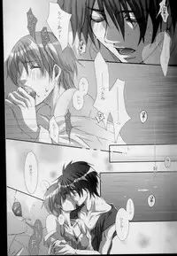 (C68) [Takahashi Kanbanten (Tajima Minato)] Kago no Tori 3 (Tenkuu No Escaflowne)