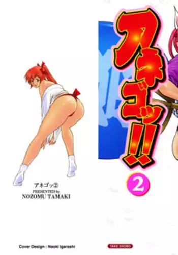 [Nozomu Tamaki] Anego 2 Ch. 10-16 [English] [Lazarus H]