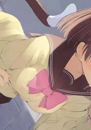 Ore no Kanojo ni wa Nekomimi ga Haeteiru