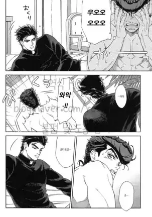 The Suite of Super Darling