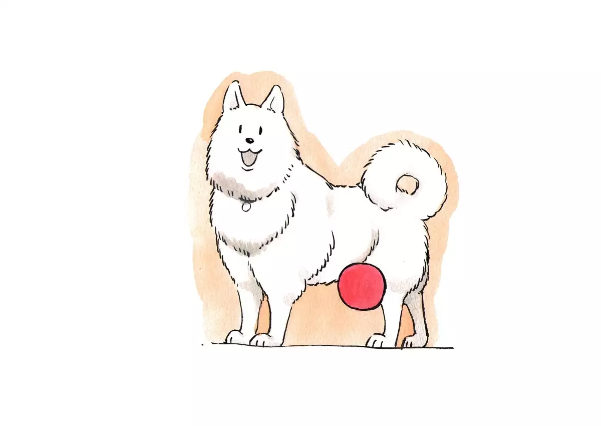 Doubutsu Noujou - Animal Farm | 動物農莊