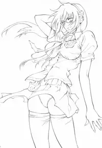 (C82) [Human High-Light Film (Shiosaba)] Asuka Mari Rei (Neon Genesis Evangelion)