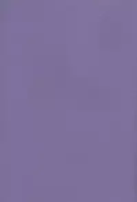 [Atsu Atsu COOK (Katagari Atsuko)] Neo Romance Game (Digimon Adventure 02)