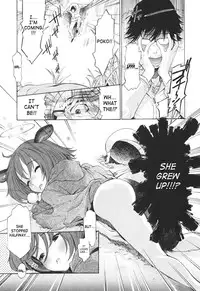 [D.P] Poko to Issho | Together With Poko [English] [SaHa]