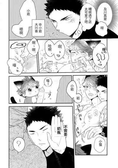 Iwa-chan no Neko ni Naritai 6 | 我想成为小岩的猫6