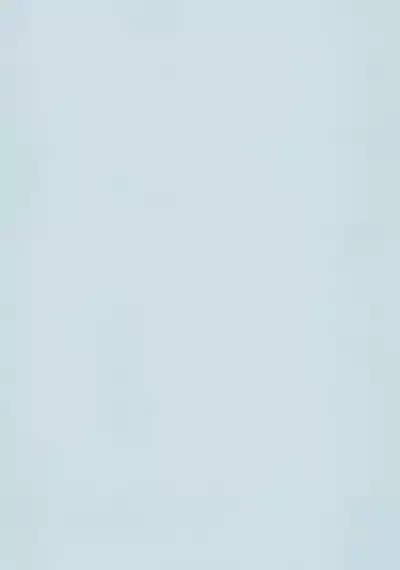 Blue Archive Hon. Full Color