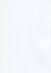 (C88) [Angyadow (Shikei)] Crack (Sword Art Online)