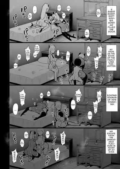 [Fry Dish (Jakko)] Goshujin-sama no Ochinchin wa Yuzurenai ~Succubus Maid to Nukirobo Maid~ [English] [Digital]