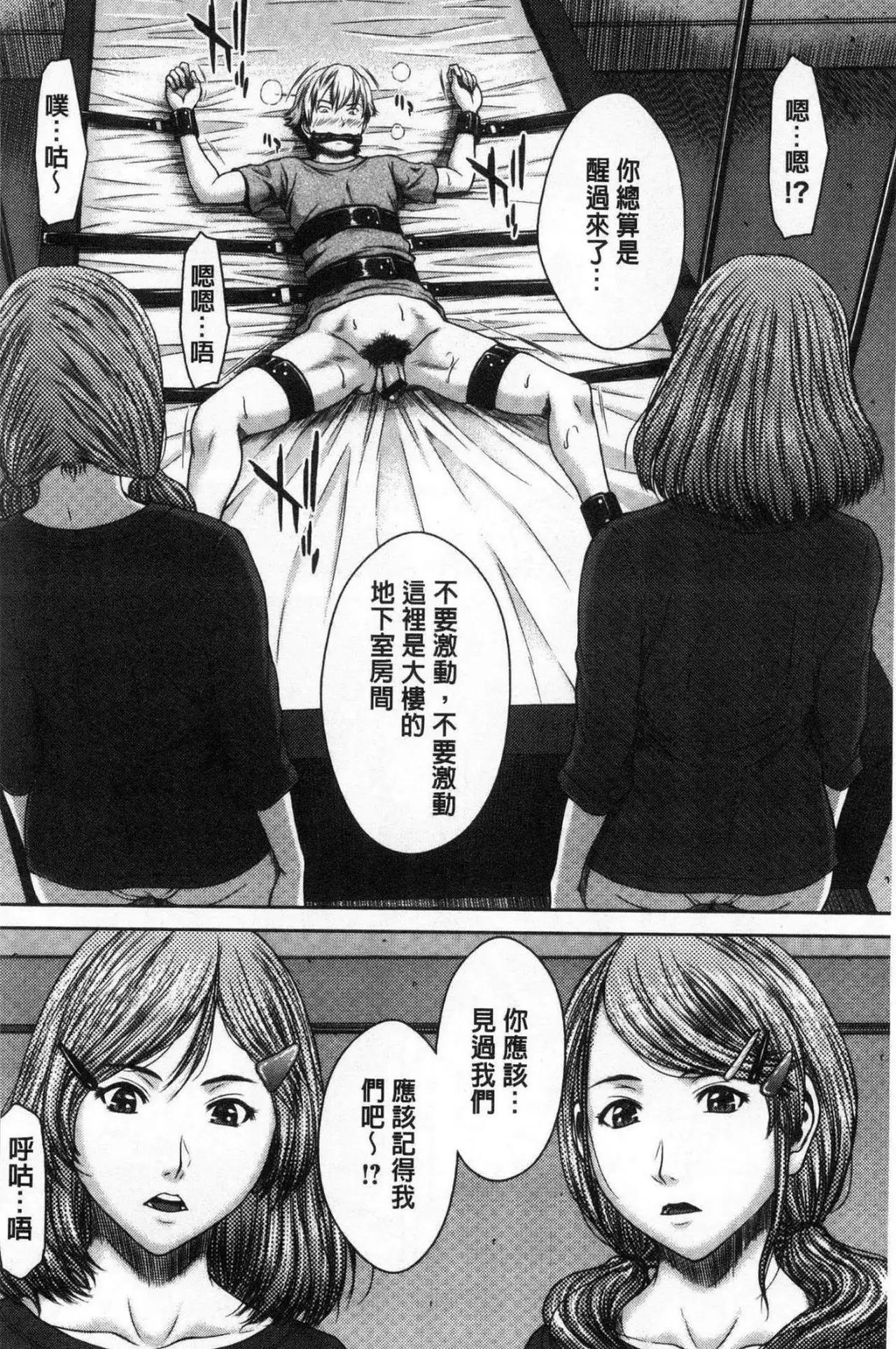 Hamekano chijo to retsujo daiari