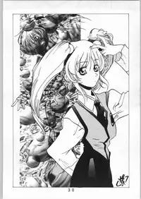 [Nadesico] Anime Bros Coteri Magazine 2 - Nadefune (Anime Brothers)